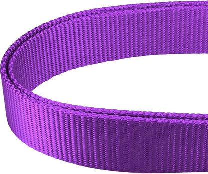 Mikivery Martingale Dog Collar Nylon Adjustable and Safety Training Colourful Comfortable Metal Buckle Pet Collars for Small Medium and Large Dogs(Purple 1,L)