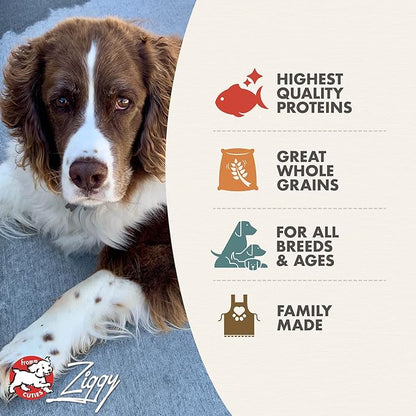 Fromm Four-Star Nutritionals Trout & Whitefish Dog Food - Premium Dry Dog Food - Trout Recipe - 12 lb
