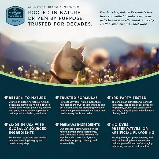 Animal Essentials Breathe EZ Herbal Supplement for Dogs & Cats, 2 fl oz - Supports Clear, Healthy Respiration-Breathing