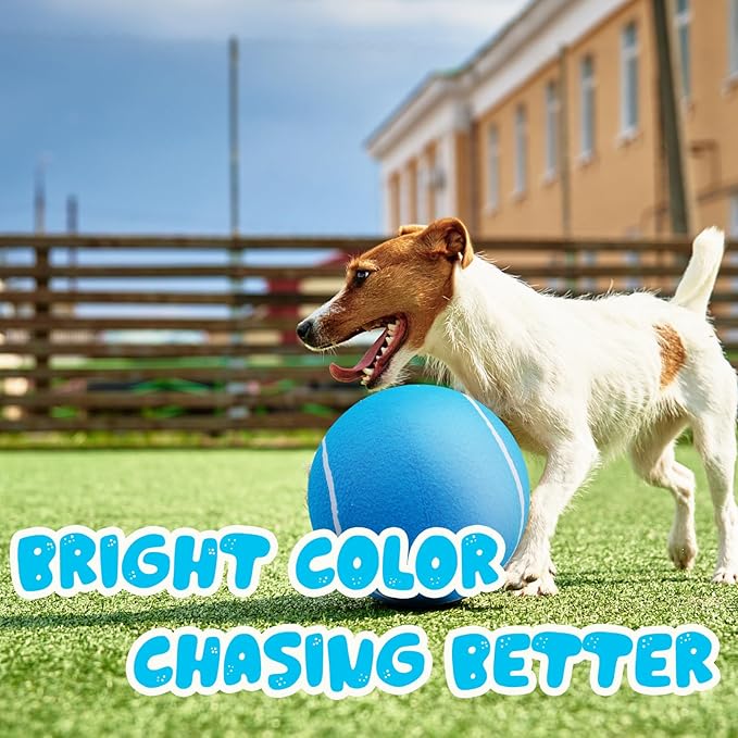Banfeng Big Tennis Ball for Dogs, Giant Dog Tennis Ball Toy Large Outdoor Sports Gift for Small Medium Large Dog (Sky Blue, 9.5 inch)