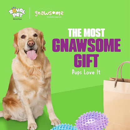Gnawsome™ 3.5” Spiky Squeaker Football Dog Toy - Small, Cleans Teeth and Promotes Good Dental and Gum Health for Your Pet, Colors Will Vary (Pack of 2)