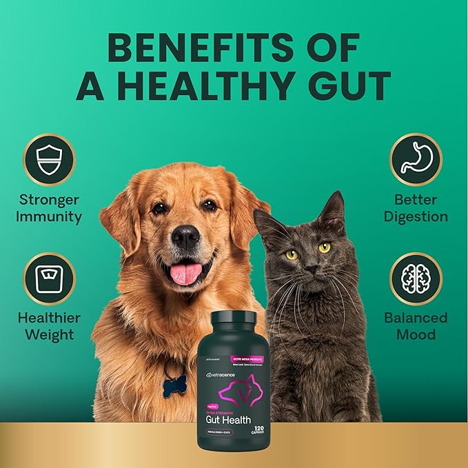 VetriScience Extra Strength Gut Health Easy-Open Capsules, Mega Probiotic and Prebiotic Digestive Supplement for Dogs and Cats, for Diarrhea and Immune Support, 7.5 Billion CFU Per Capsule, 120 Count