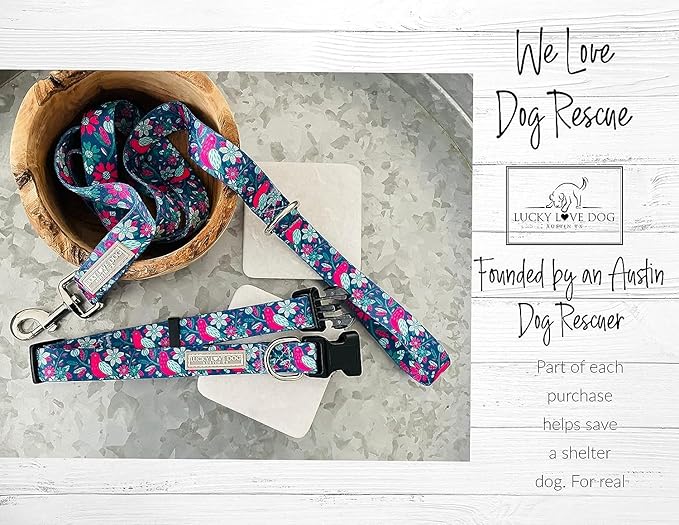 Lucky Love Dog - Easy Click Buckle Dog Collar with Leash Set Combo, Durable & Comfortable for Male & Female Dogs, Pet Collar for Large Dogs, Secure Fit - Carriebelle Martingale Combo, Large