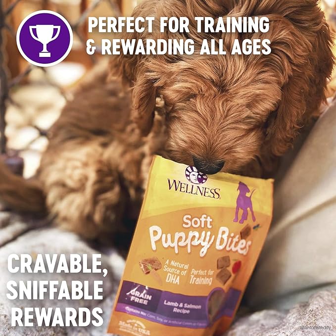 Wellness Soft Puppy Bites Healthy Grain-Free Treats for Training, Dog Treats with Real Meat and DHA, No Artificial Flavors (Lamb & Salmon, 8-Ounce Bag) (Pack of 2)