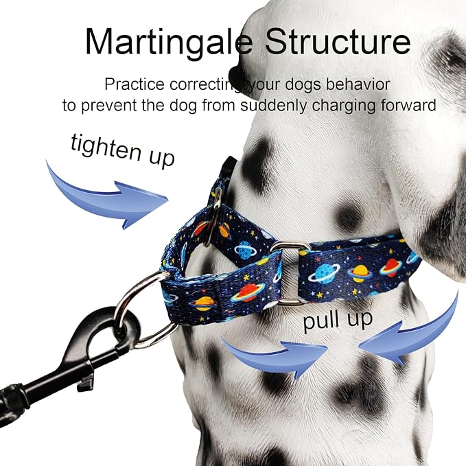 Martingale Dog Collars with Buckle No Slip Training Boy Dog Collar for Small Dogs (Blue Space, Small)
