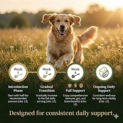 Turkey Tail Mushroom for Dogs – Ultra 7-in-1 Mushroom Powder with Beta-Glucans, Immune, Digestive & Brain Support, Chicken Liver Flavor, Daily Supplement for Dogs