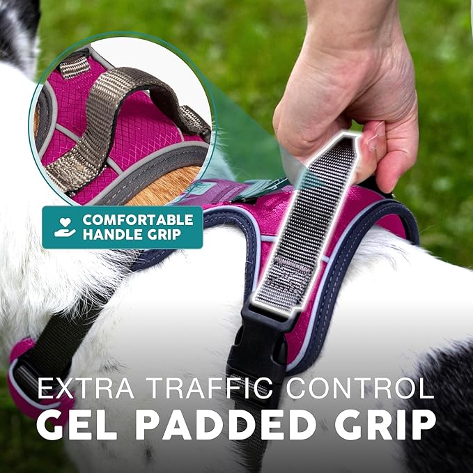 Embark Adventure Large Dog Harness – No-Pull, Reflective Trim, Military-Grade Nylon, Front Clip with Gel-Lined Handle