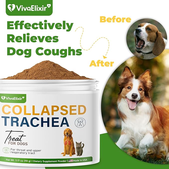 Dog Cough Powder–Relieves Cough, wheezing, tracheal Collapse, and Throat Irritation–Respiratory Health–Immune Support for Dogs in Kennel or Seasonal Challenges–All-Natural Herbal + Vitamin Blend–90g