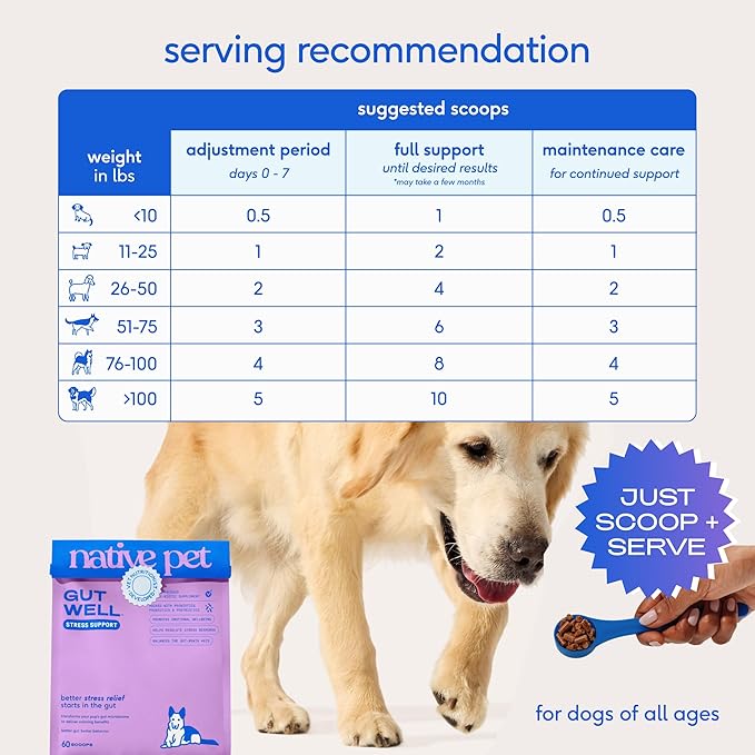 Native Pet GutWell Stress Support - Dog Anxiety Relief & Calming Supplement - Promotes Emotional Wellbeing, Regulates Stress Response & Balances Gut-Brain Axis - Triple-Biotic & Magnesium -120 Scoops