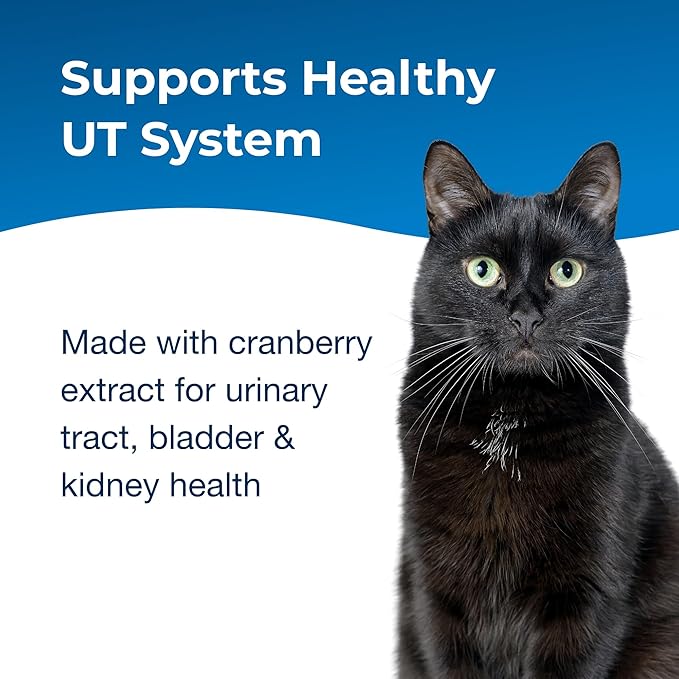 PetAg UT Solution Gel Supplement for Cats - 3.5 oz - Supports a Healthy Urinary Tract for Cats 6 Months and Older