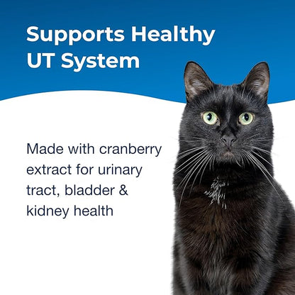 PetAg UT Solution Gel Supplement for Cats - 3.5 oz, Pack of 2 - Supports a Healthy Urinary Tract for Cats 6 Months and Older