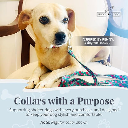 Lucky Love Dog Martingale Dog Collar - Adjustable, No-Slip, Durable, & Soft Webbing Collar for Male and Female Dogs Ideal for Training & Walking - Penny, Small