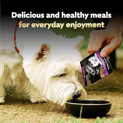 Cesar Filets in Gravy Wet Dog Food, Filet Mignon Flavor, Wet Food for Dogs, 1.76 oz. Mini-Pouches, 20 Count