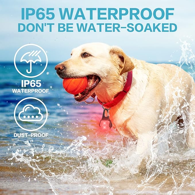 BLBS Rechargeable Dog Collar Light -3 Modes Dog Light, IP65 Waterproof Dog Walking Light, 50LM Dog Lights for Night Walking, Running, Camping, Climbing, Bike, 2 Pack