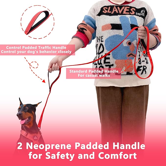 Dog Leash 5ft Long, Double Handle Dog Leash for Safety Control Training, Heavy Duty Dog Leads with Traffic Padded Handles, Reflective Leashes for Small Medium Large Dogs(5ft, Red)