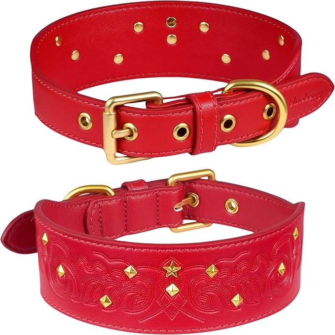 Blueberry Pet Premium Embossed Red Glam Silver-Powered Freshness Microfiber Leather Dog Collar with Gold Studs