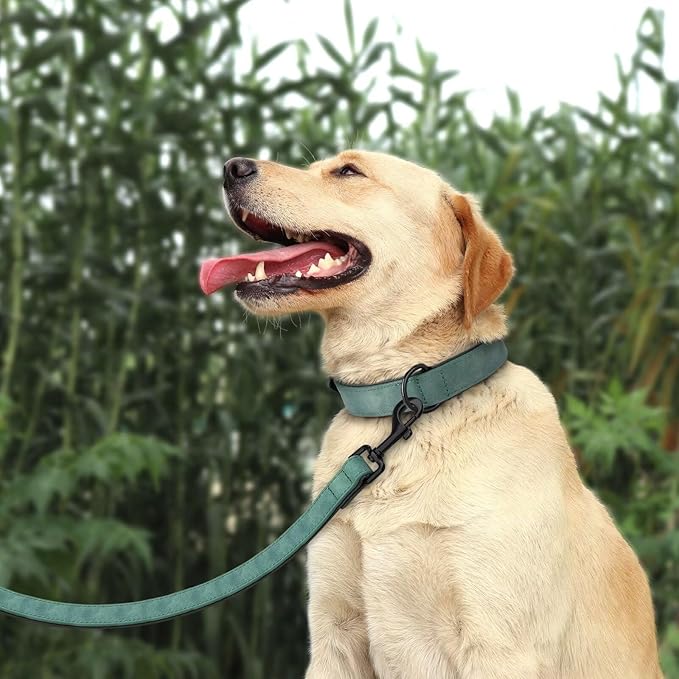 Didog Soft Padded Leather Dog Collar and Leash Set, Adjustable Dog Lead and Collar Set with Metal Buckle, Breathable Pet Collars with 4FT PU Leather Leash for Large Dogs, Green, XL