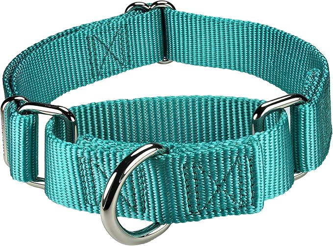 Mikivery Martingale Dog Collar Nylon Adjustable and Safety Training Colourful Comfortable Metal Buckle Pet Collars for Small Medium and Large Dogs(Teal,M)