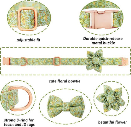 Dog Collar and Leash Set Girls Adjustable Puppy Collars with Planet Bow Tie for Small Medium Large Female Dogs, Green Planet, XS