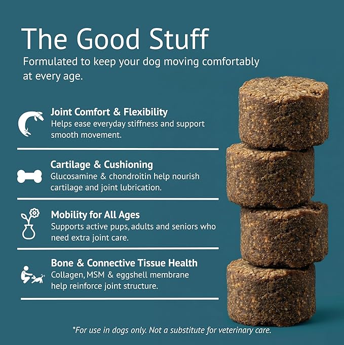 Hip & Joint Dog Chews – Glucosamine, Chondroitin, MSM, Turmeric & Collagen for Joint Health & Mobility – High-Potency Supplement for Dogs of All Breeds & Sizes – Active Lifestyle Support