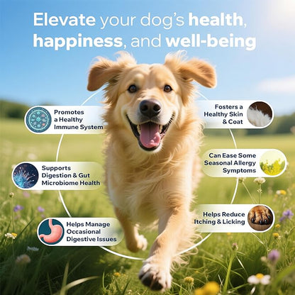 Dog Probiotics for Digestive Health & Gut Health | Probiotics for Dogs w/Prebiotics & Digestive Enzymes | Dog Probiotics for Diarrhea, Bad Breath, Immunity | Constipation & Gas Relief for Dogs | 90ct
