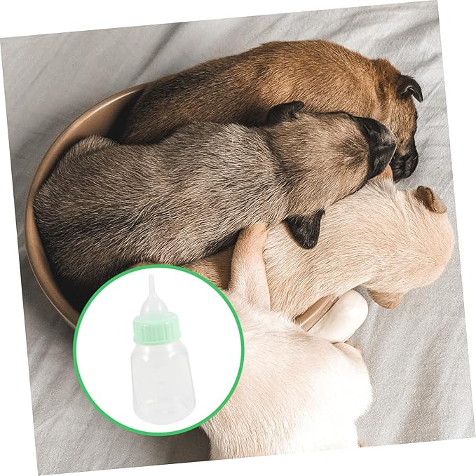Pet Nursing Bottle Kit for Kitten Puppy Feeding Milk Bottle Set Sturdy Portable