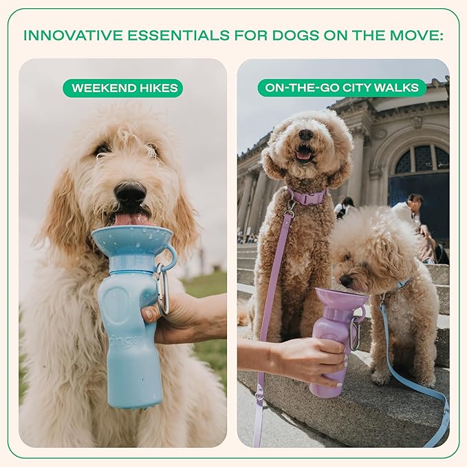 Springer Dog Water Bottle | Portable Travel Water Bottle Dispenser For Dogs - As Seen on Shark Tank | Patented, Leak-Proof Bottles Fill Bowl With Water - Ideal for Walking | BPA-Free 22oz Indigo