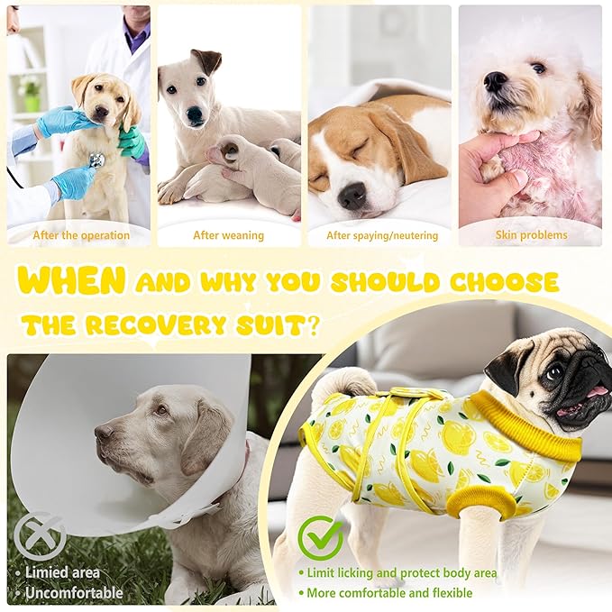 Dog Surgery Recovery Suit, Abdominal Surgical Suit for Male Female Dog Post Spay Neuter, Breathable Pet Onesie E-Collar & Cone Alternative, Surgery Shirt to Prevent Licking, Yellow, X-Large