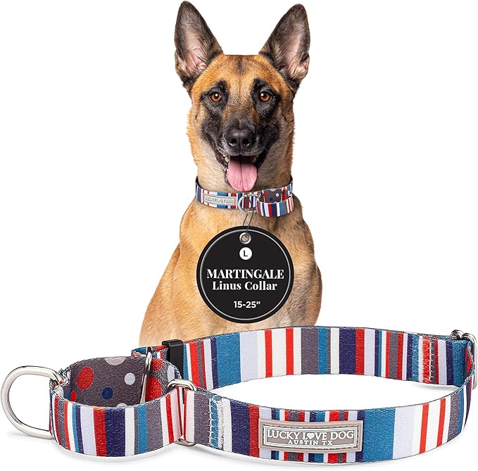 Lucky Love Dog Martingale Dog Collar - Adjustable, No-Slip, Durable, & Soft Webbing Collar for Male and Female Dogs Ideal for Training & Walking - Linus, Large