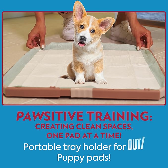 OUT! PetCare Pee Pad Holder Tray, Puppy Pads, Dog Pee Pad Tray, Puppy Essentials, Raised Edges, Portable, Dog Training, Housebreaking Essentials, Cleaning Supplies, Floor Protection, 21x21
