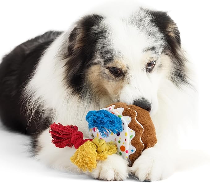 LE SURE Dog Birthday Cake Toy - Cute Squeaky Dog Birthday Toy for Gentle Chewers with Interactive Tug Rope, Plush Interactive Toy for Adult Dogs Birthdays Party, Standard, Milk Chocolate