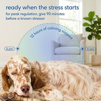 Native Pet Advanced Calming Chews for Dogs Medium Breed - Anxiety Relief, Stress, Separation & Sleep Support with Melatonin for Dogs, Hydrolyzed Casein, Valerian Root & L-Tryptophan - 30 Days Supply