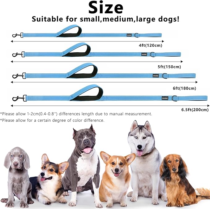 Dog Leash 5ft Long, Double Handle Dog Leash for Safety Control Training, Heavy Duty Dog Leads with Traffic Padded Handles, Reflective Leashes for Small Medium Large Dogs(5ft, Sky Blue)