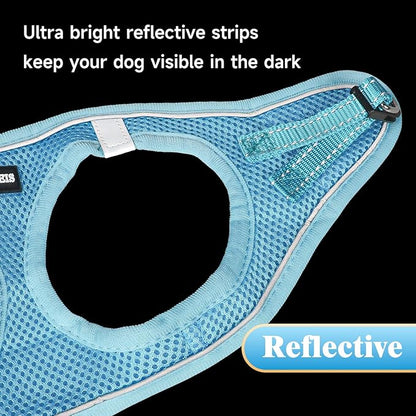 YIMEIS Dog Harness and Leash Set, No Pull Soft Mesh Pet Harness, Reflective Adjustable Puppy Vest for Small Medium Large Dogs, Cats (Sky Blue, Medium (Pack of 1)