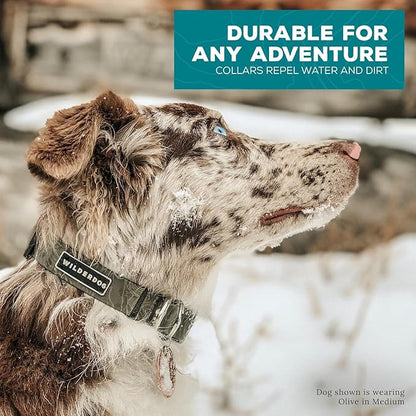 Wilderdog Waterproof Dog Collar- Repels Water & Dirt - Large 17"-24" - Olive