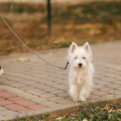 Mile High Life Small Dog Leash, Thin Rope Leash with Genuine Leather Connection and Heavy Duty Metal Clasp, Great for Small Medium Dogs(White,72 Inch-1/3)