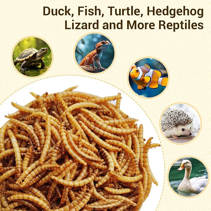 Dried Mealworms, High-Protein Bulk Mealworms 22Lbs, 100% Non-GMO Mealworm Treats for Birds, Chickens, Turtles, Fish, Hamsters and Hedgehogs All Natural Animal Feed