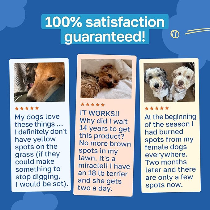 Happy Paws Lawn Saver Supplement, Probiotics for Dogs to Help Grass Stay Green & Prevent Lawn Burn, Digestive Health Support with Antioxidants & Fiber, Vegan Chicken Flavor, Non GMO, 200 Soft Chews