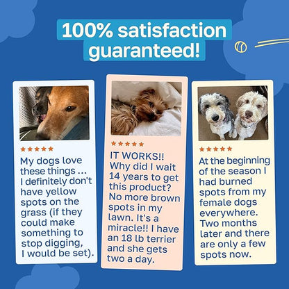 Happy Paws Lawn Saver Supplement, Probiotics for Dogs to Help Grass Stay Green & Prevent Lawn Burn, Digestive Health Support with Antioxidants & Fiber, Vegan Chicken Flavor, Non GMO, 200 Soft Chews