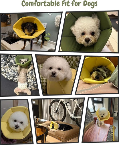 Lightweight Cat Cone Collar, Waterproof Soft Recovery E-Collar for Cats & Small Dogs, Adjustable Protective Elizabethan Collar to Prevent Licking & Biting, Easy-Clean Quick-Dry Design, Green XL Size