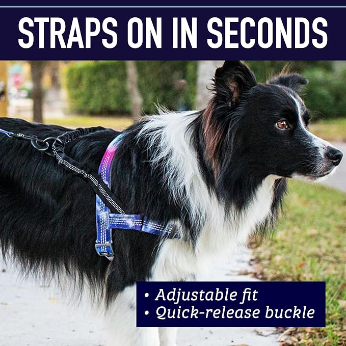 Leash Boss No Pull Dog Harness, Easy Walk for Small, Medium, and Large Pets, Reflective with Rear and Front Clip Attachment (Wave Pattern, Small)
