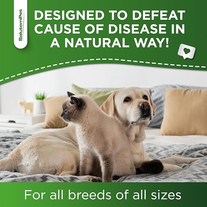 Natural Antibiotics for Dogs to Help with Allergies and UTIs | Kennel Cough Medicine for Dogs | Cat Antibiotics for Infection | Herbal Supplement is Excellent for All Breeds and Ages | 2 oz