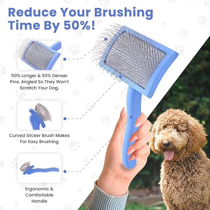Slicker Brush for Dogs, Dog Grooming Supplies - Best Doodle & Poodle Brush for Haired Dogs - Goldendoodle Pin Detangler for Dematting (Medium Curved)