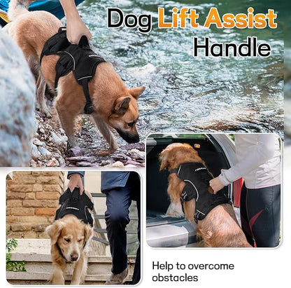 rabbitgoo Escape Proof Dog Harness, Soft Padded Full Body Pet Harness, Reflective Adjustable No Pull Vest with Lift Handle and Leash Clip for Large Dogs Walking Hiking Training, L, Black