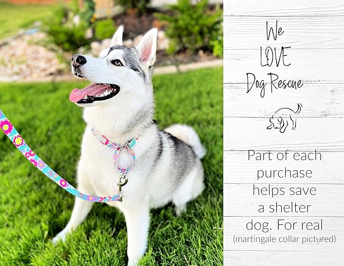 Lucky Love Dog - Adjustable Dog Collar with Easy Click Buckle for Large Ones, Durable, & Comfortable for Male & Female Dogs, Pet Collar for Puppies & Adult Dogs - Caroline, XL