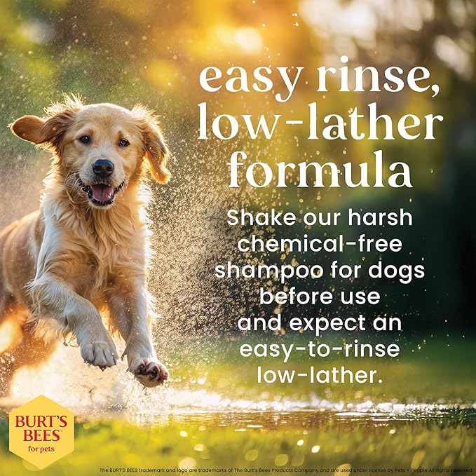 Burt’s Bees for Pets Oatmeal Dog Shampoo with Honey, Soothing Dog Shampoo for Itchy and Sensitive Skin, pH Balanced Formula that Gently Cleans and Moisturizes Dog Coats, 16 Fl Oz - 6 Pack