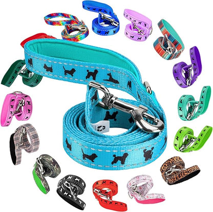 EcoBark Dog Leash - Soft & Reflective Comfort Leashes with Padded Handle - Safe, Strong, & Durable for Small, Medium or Large Dogs (Sky Blue)