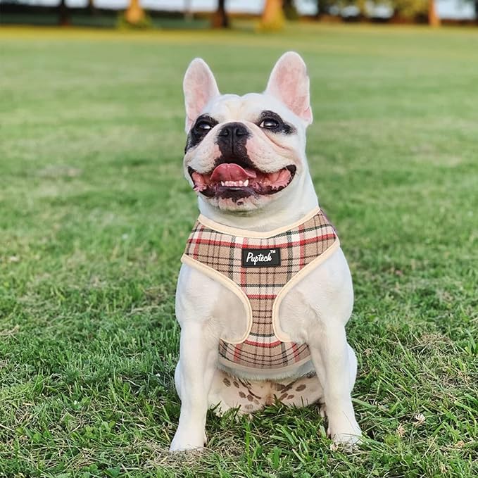 PUPTECK Soft Mesh Dog Harness and Leash Set Pet Puppy Cat Comfort Padded Vest No Pull Harnesses, Khaki, XS