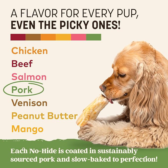 Earth Animal No Hide Chews - Long Lasting Rawhide Free Small Dog Chews Rolls, Pork - 6 Count