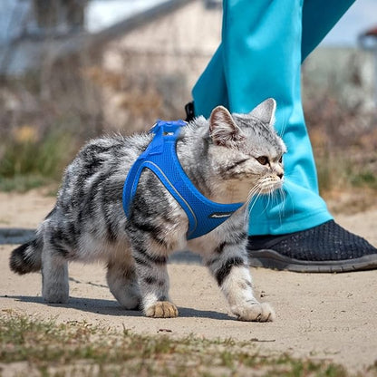 PetiFine Cat Harness and Leash Set,Escape Proof Kitten Harness Reflective,Soft Lightweight Puppy Harness for Walking and Travelling(XXS, Baby Blue)
